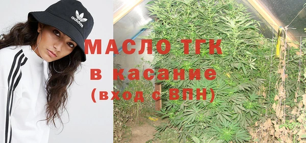 индика Михайловка