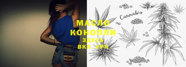 индика Михайловка