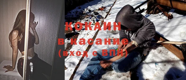 индика Михайловка