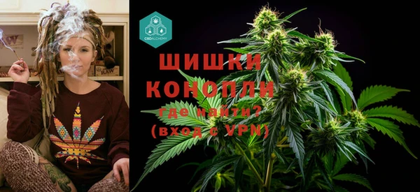 индика Михайловка
