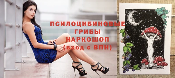 индика Михайловка