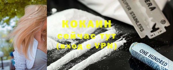 индика Михайловка