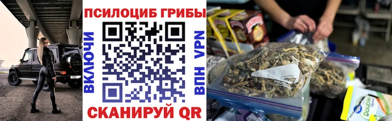 kraken маркетплейс  Тайшет  Псилоцибиновые грибы мицелий 